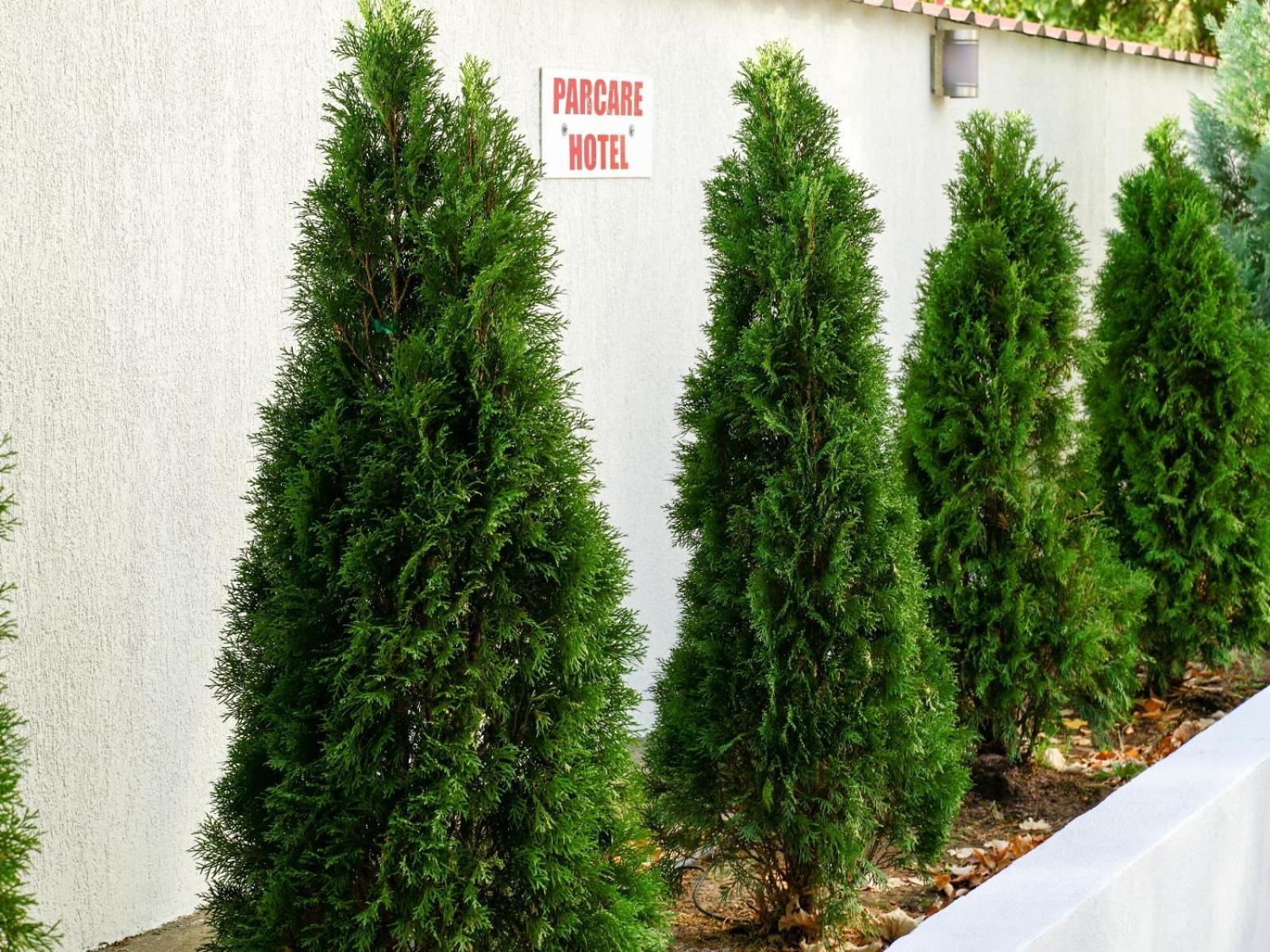 Hotel Criss Bucareste Exterior foto